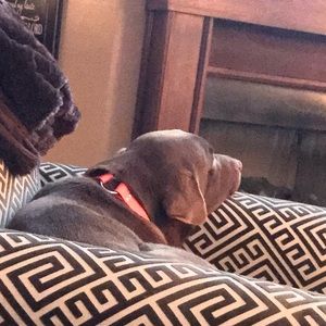 Meet your Posher, Stefanie